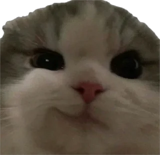 😏