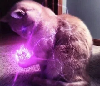 💖