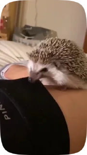 😵