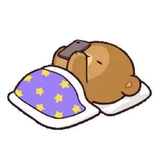 😴