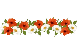 🌺