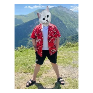 🤍