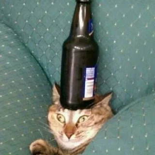 🍺