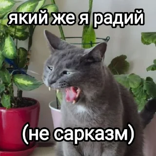 🥳