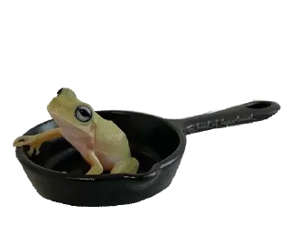 🐸