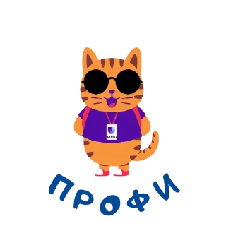 😎