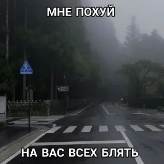 🧂