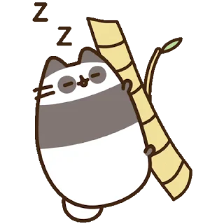 🐼