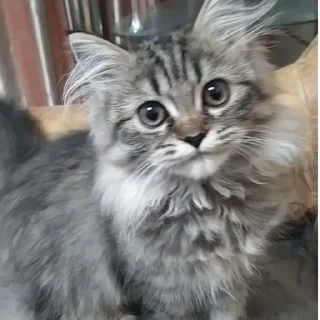 😐
