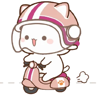 🛵
