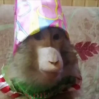 🎉