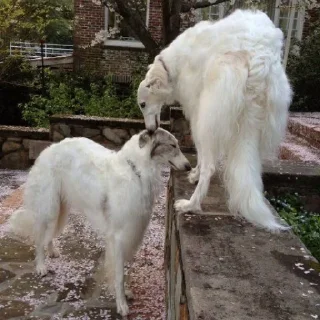 😘