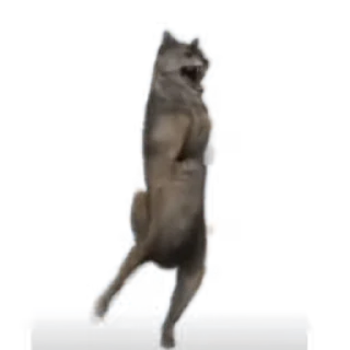 🥳