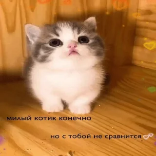 💗