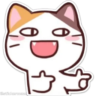 👉