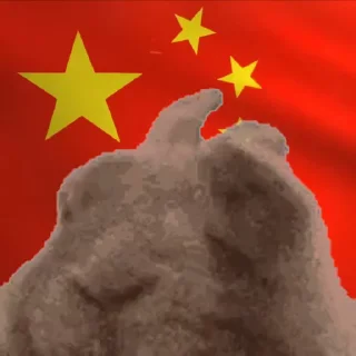 🇨🇳