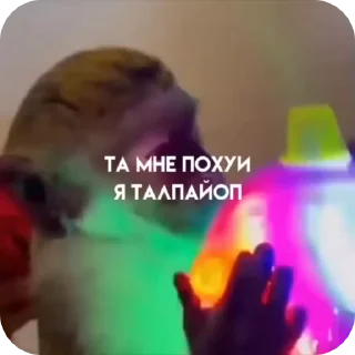 Манки бай @SosisOff