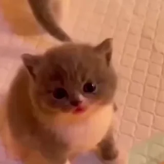 💋