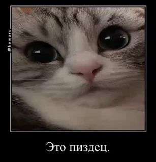 😄