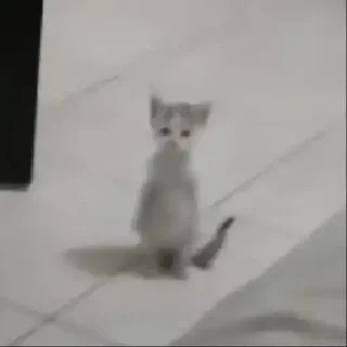 🪩