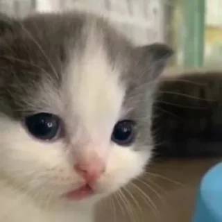 😕