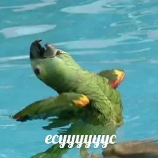 ✝️
