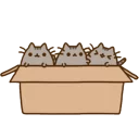 🐈