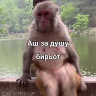 😎