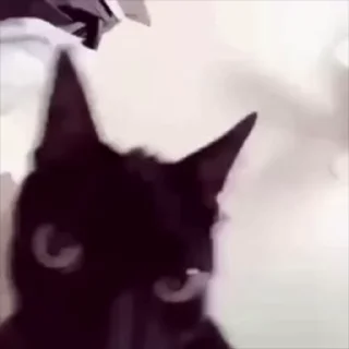 🫠