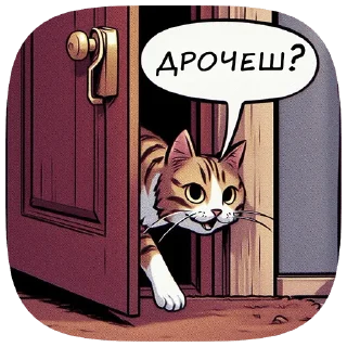 😻