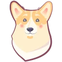 🐶