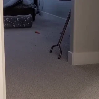 👇