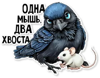🐁