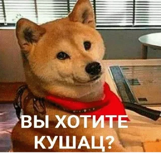 👨‍🍳