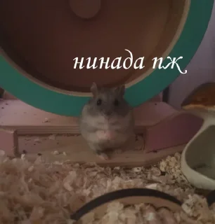 😨