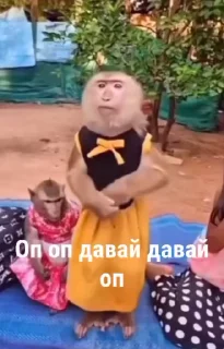 🌟