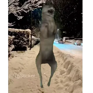 🐺