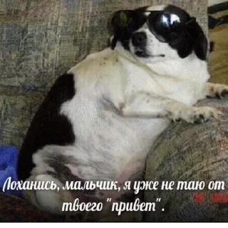 💃
