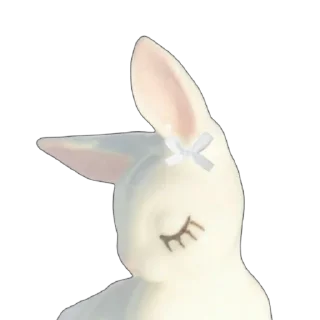 🐰