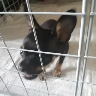 ⛓