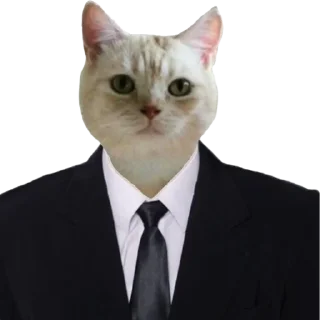 👨‍⚖️