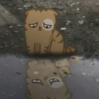 😿