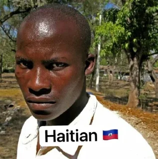 🇭🇹