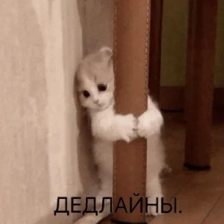 🥲