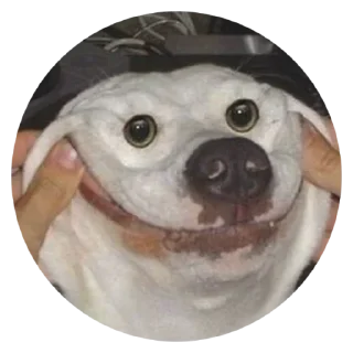 😊