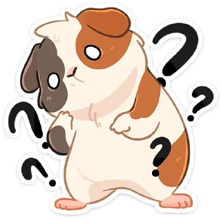 ❓