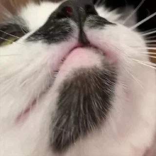 😠