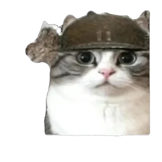 🫥