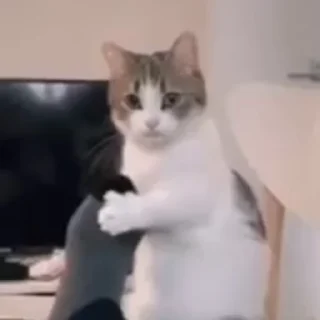 👀