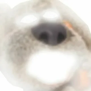 🤪